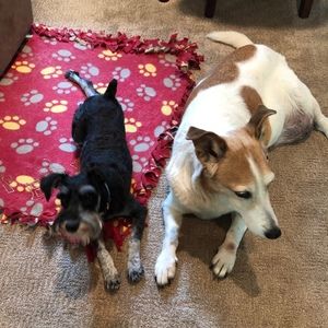 Meet your Posher, Patricia